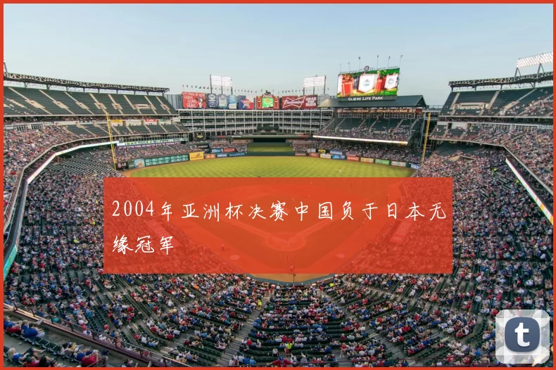 2004年亚洲杯决赛中国负于日本无缘冠军