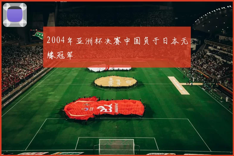 2004年亚洲杯决赛中国负于日本无缘冠军