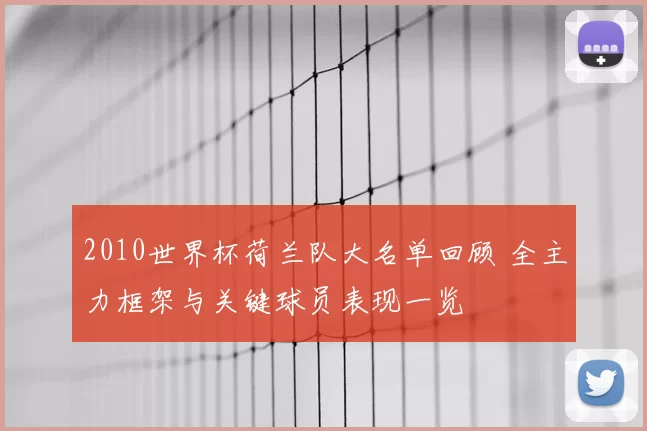 2010世界杯荷兰队大名单回顾 全主力框架与关键球员表现一览