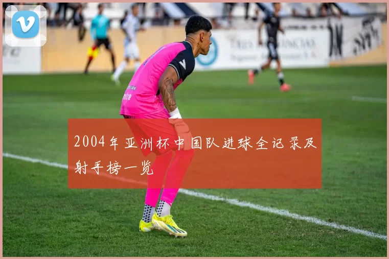 2004年亚洲杯中国队进球全记录及射手榜一览