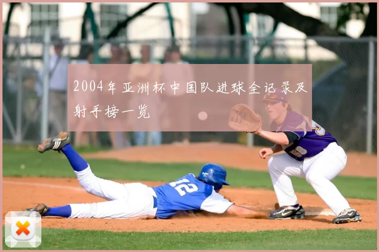 2004年亚洲杯中国队进球全记录及射手榜一览