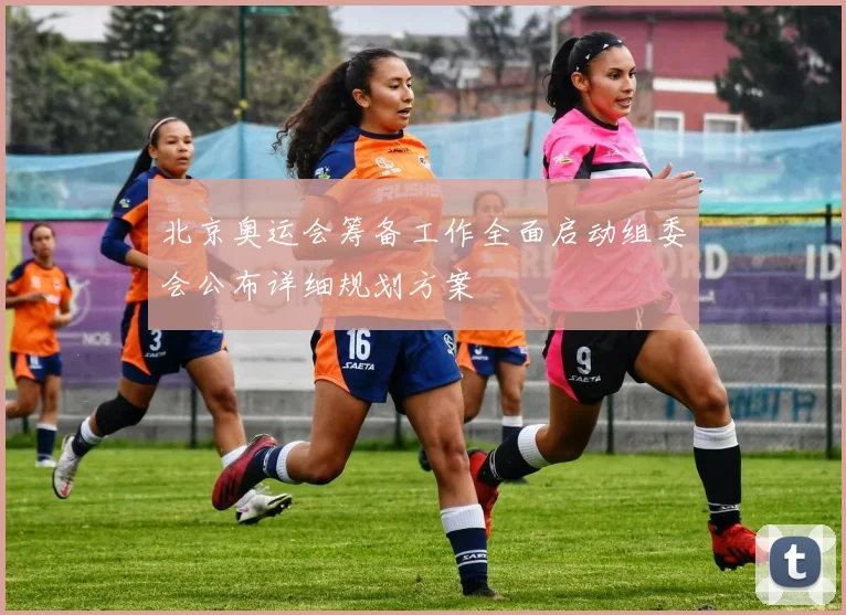 北京奥运会筹备工作全面启动组委会公布详细规划方案